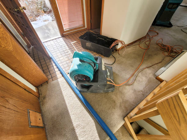  Indiantown, FL Water damage restoration Pros