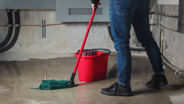 Best Ceiling water damage repair  in Indiantown, FL