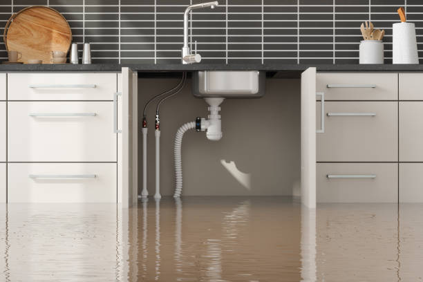 Best Water damage restoration experts  in Indiantown, FL