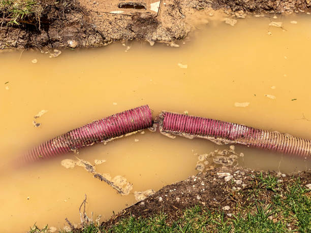 Best Water damage cleanup near me  in Indiantown, FL